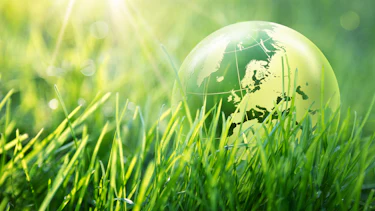 Erdball im grünen Gras