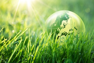 Earth ball in green gras Earth ball in green gras