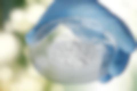 Chemicals Petri dish